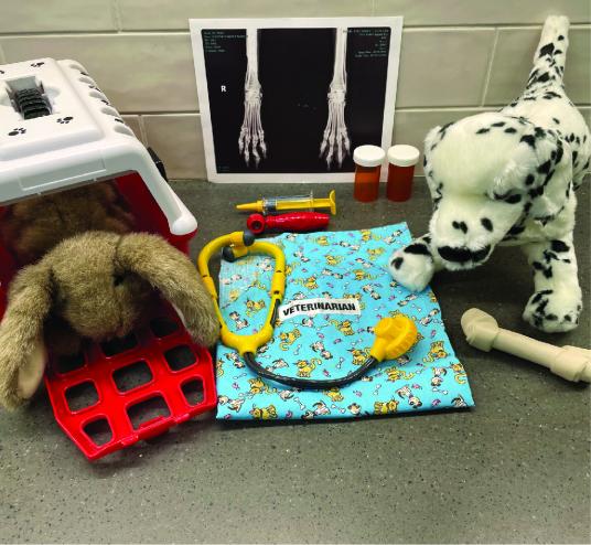 picture of toy dogs and play vet items